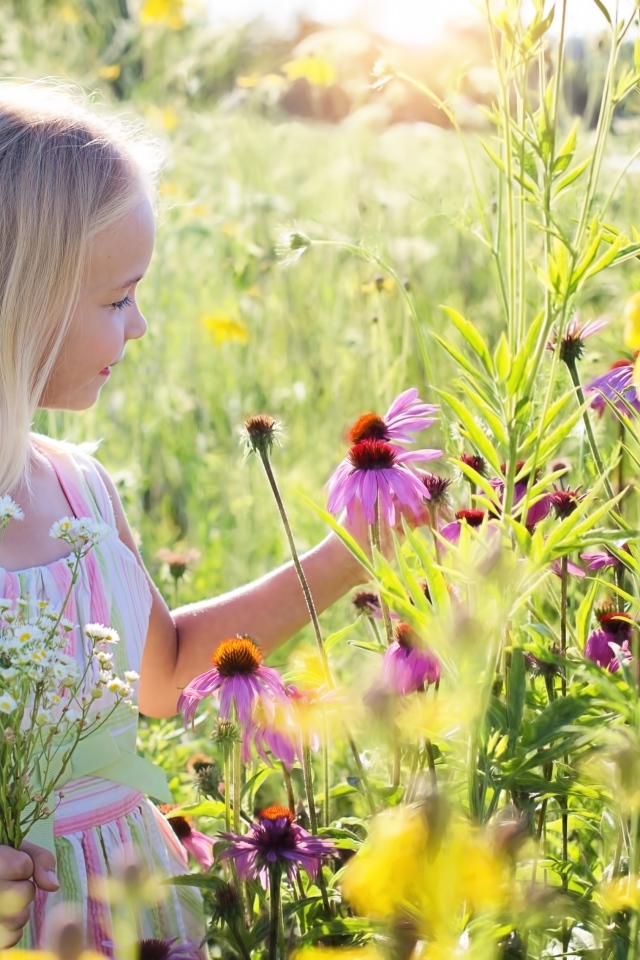 Маленькая девочка гуляет на поле с цветами эхинацеи 