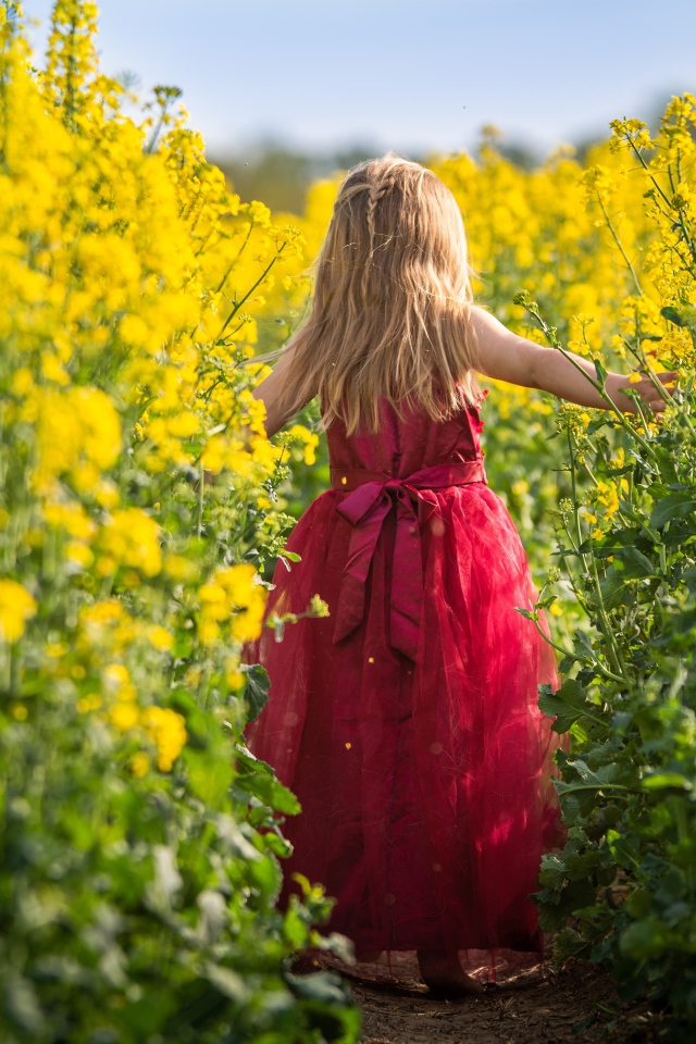 Маленькая девочка идет по полю с желтыми цветами