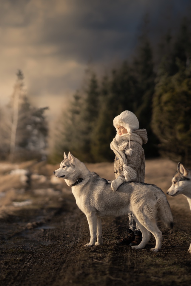 Маленькая девочка с собаками хаски в лесу