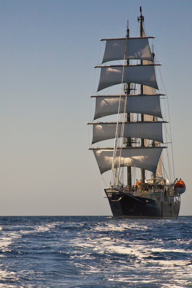 Большой корабль с белыми парусами в поле 