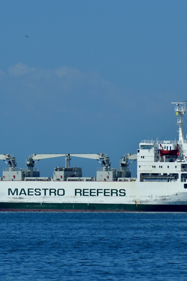 Грузовое судно MAESTRO REEFERS в море 