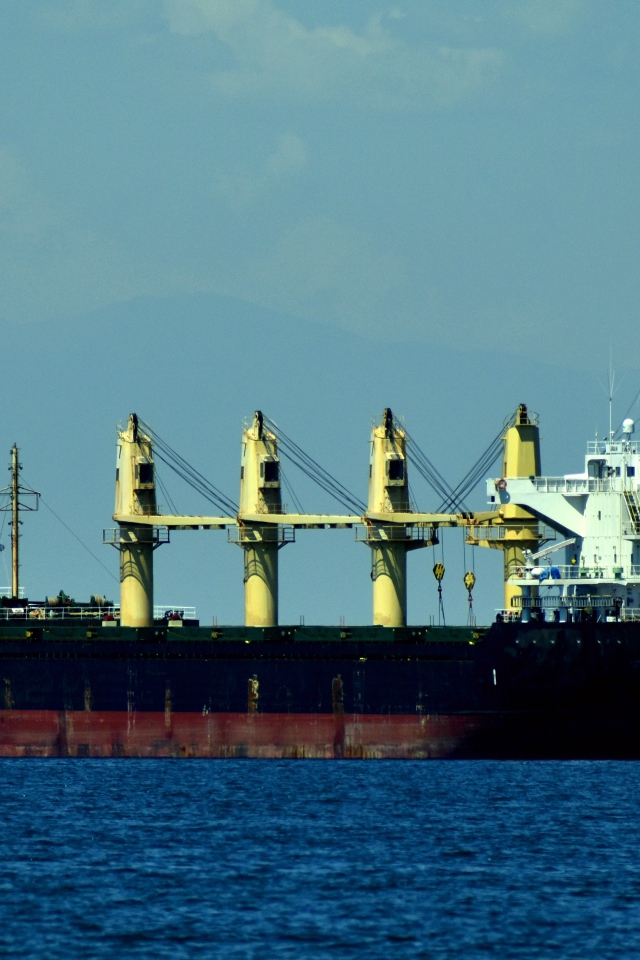 Большое грузовое судно MARIA GS 