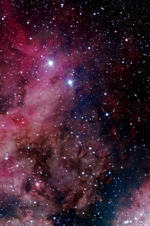 Красивый розовый млечный путь в ночном звездном небе