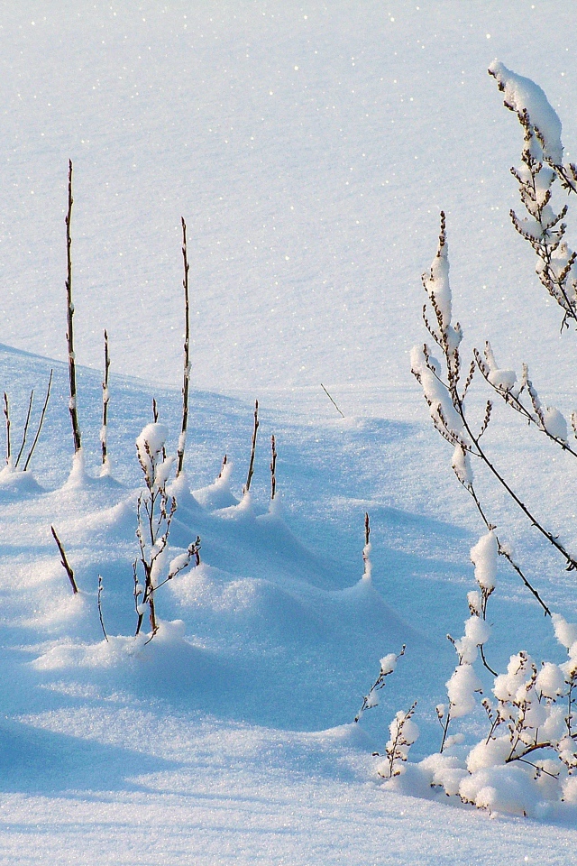 Покрытая снегом трава на улице зимой 