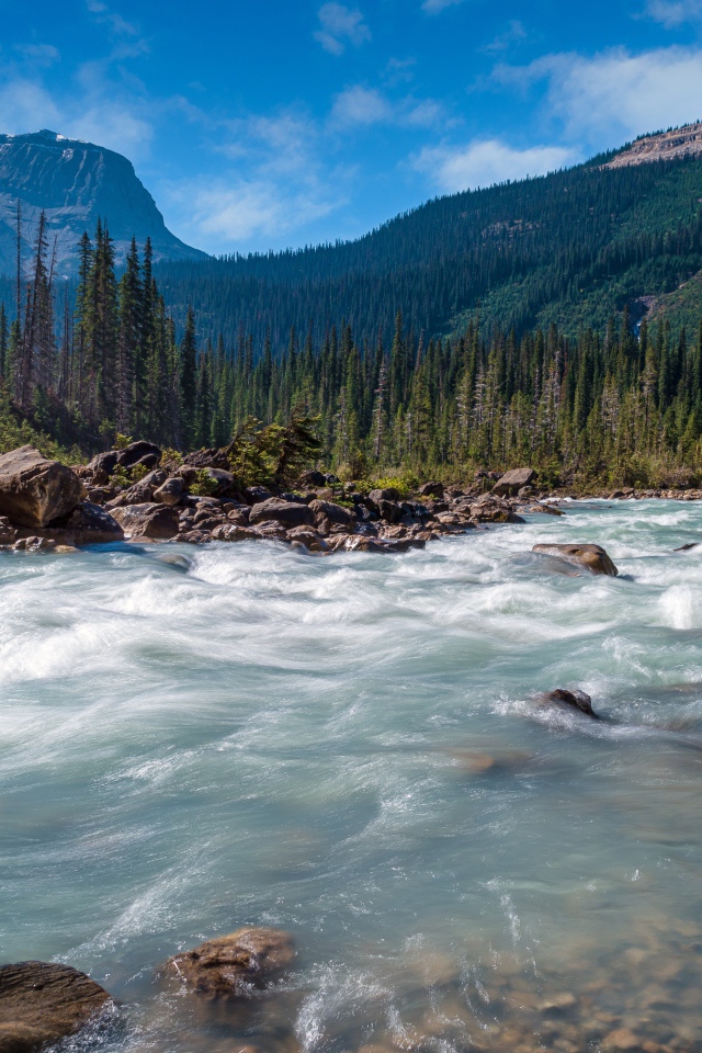 Горная холодная вода. Горная река. Реки Канады. Горы и реки. Горная река все улучшения.