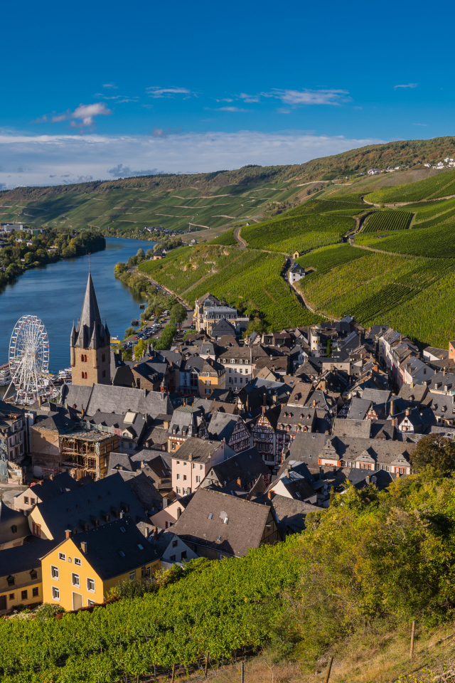 Вид город, реку и виноградник. Германия 