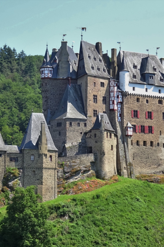 Старинный замок Рейнланд-Пфальц в лесу, Германия