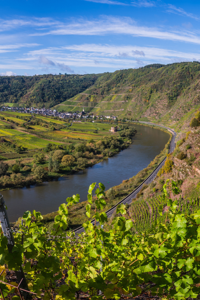 Вид на виноградники у реки под голубым небом, Германия 