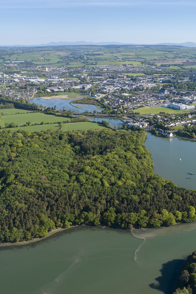 Вид на город и реку у леса с высоты, Исландия