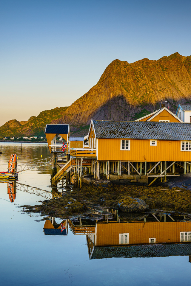 Деревья на сваях на острове Лофотен у гор, Норвегия 