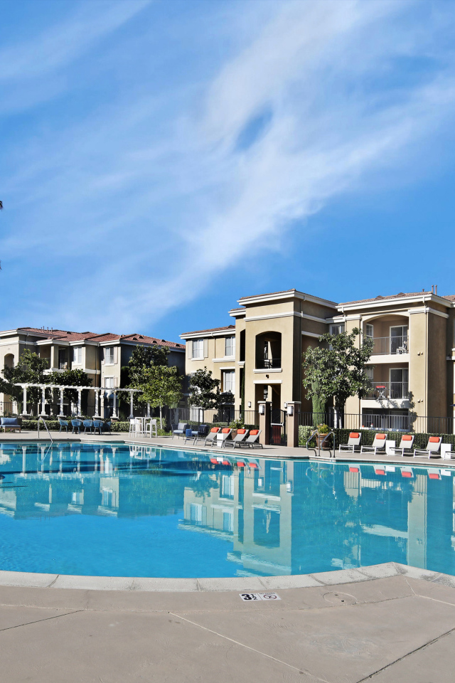 Большой бассейн в курортном отеле, США