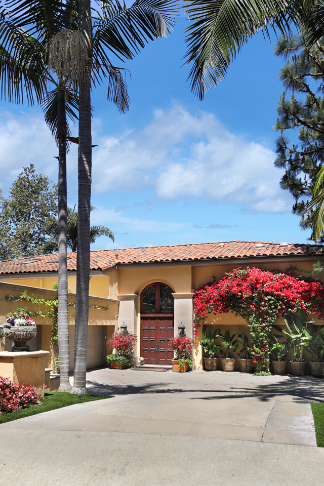 Дом на улице с цветущими кустами и пальмами