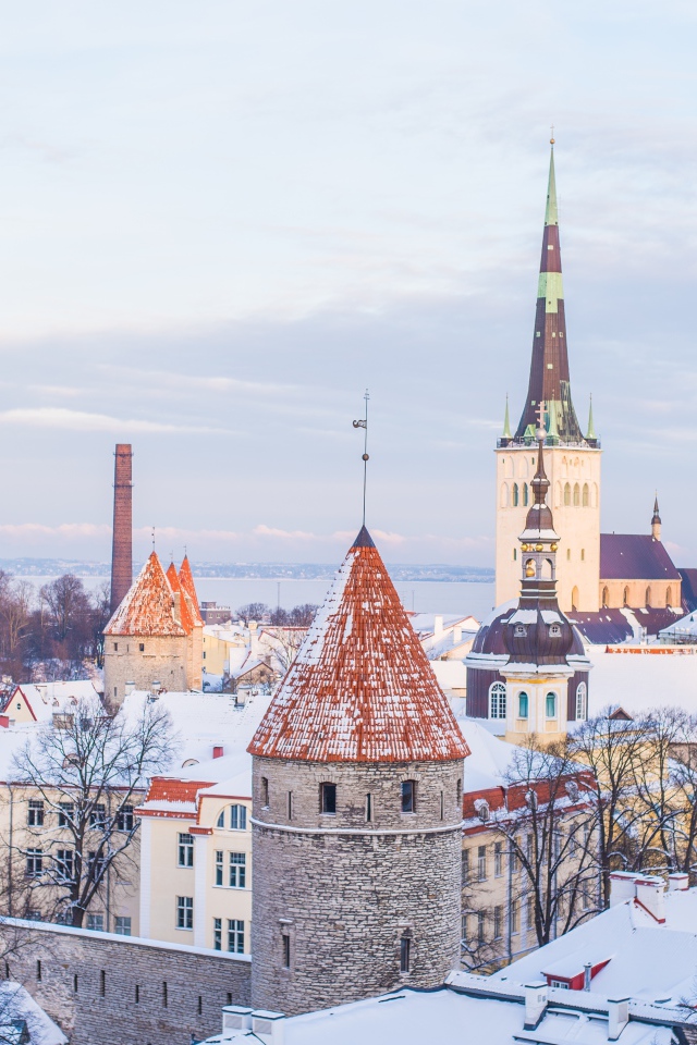 Вид на зимний город Таллин. Эстония 