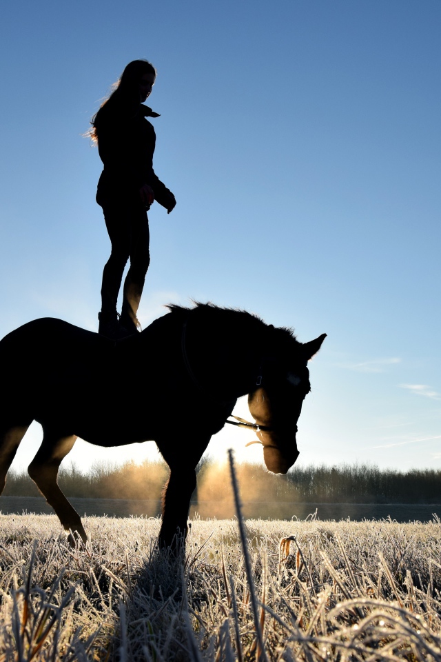 Девушка стоит на коне на фоне рассвета 