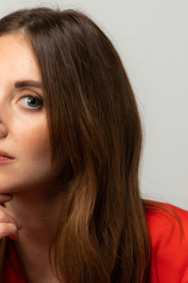 Американская актриса Элисон Бри на сером фоне