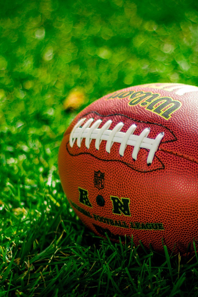 Мяч для американского футбола лежит на зеленой траве 