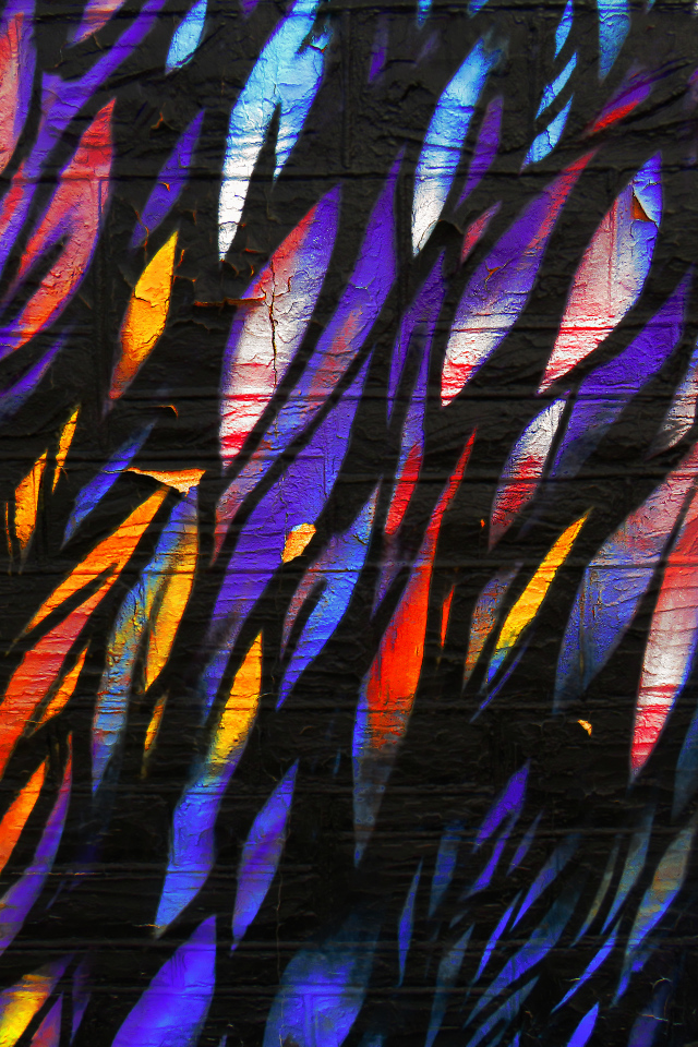 Рисунок перья на стене крупным планом