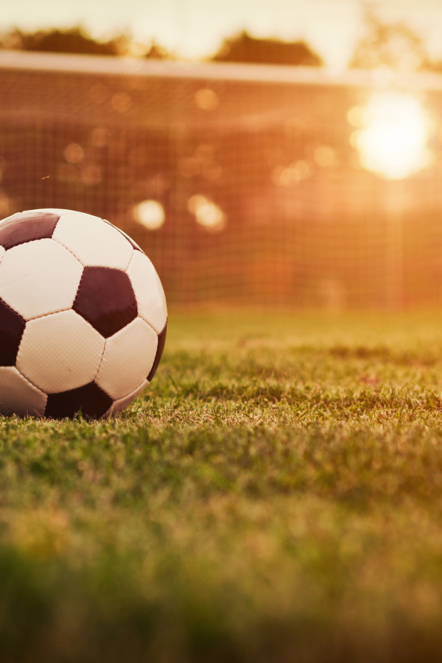 Футбольный мяч лежит на поле у ворот