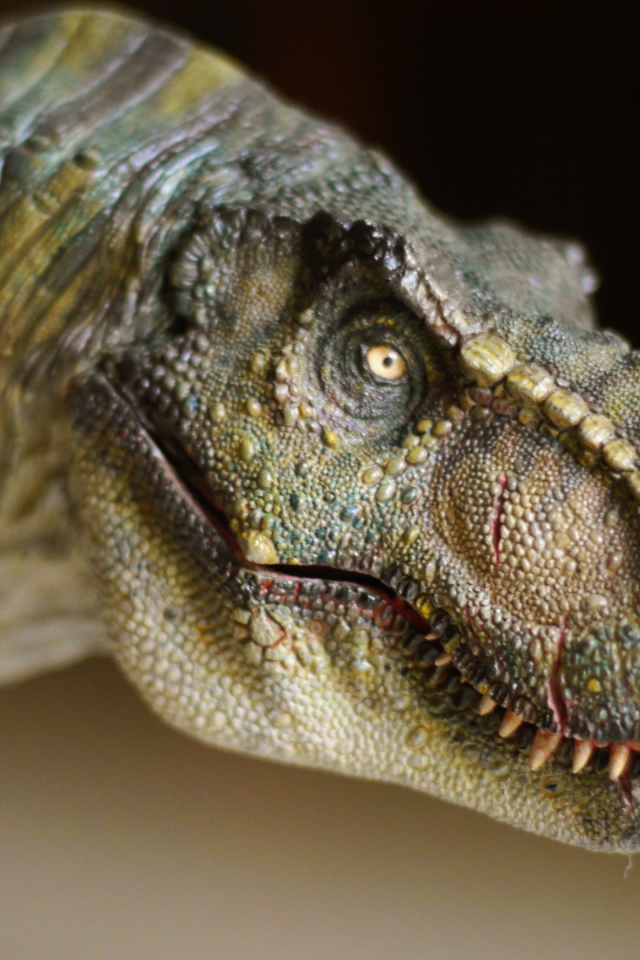 Морда динозавра т рекса крупным планом