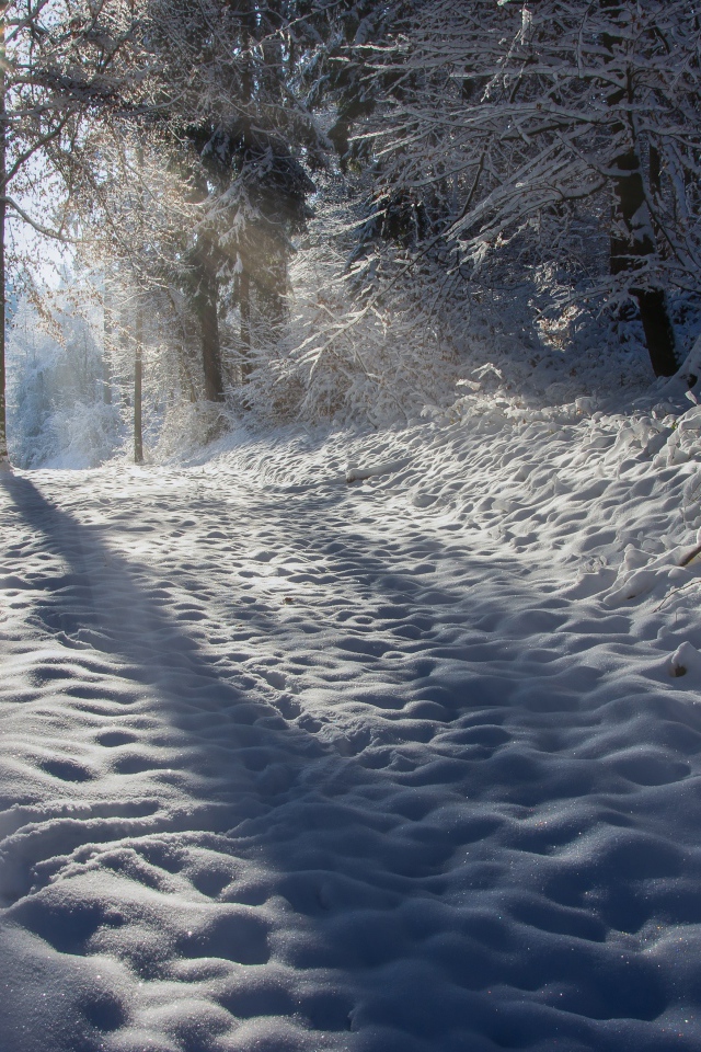 Лучи солнца освещают заснеженную дорогу 