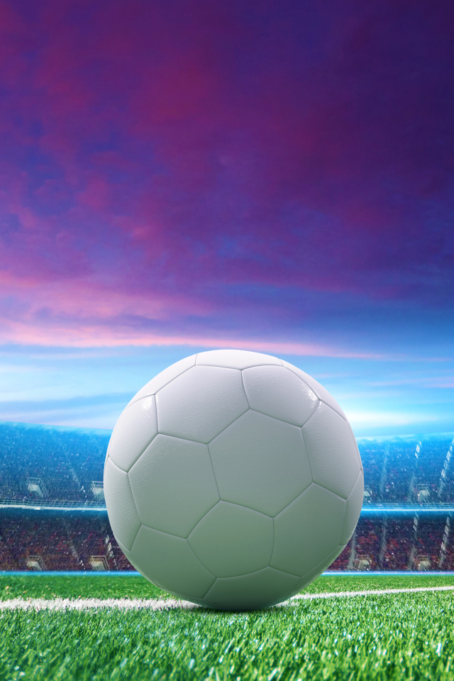 Белый футбольный мяч лежит на футбольном поле