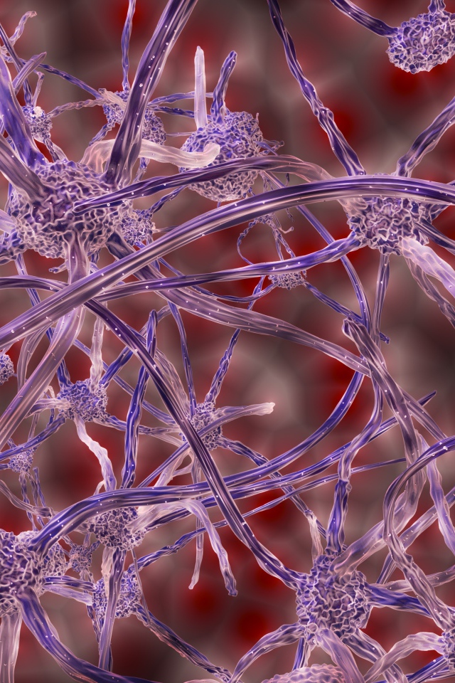 Нервные клетки под микроскопом 3д графика