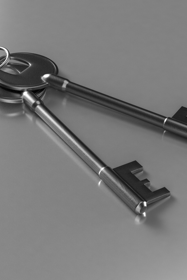 Два ключа на серой поверхности 3д графика