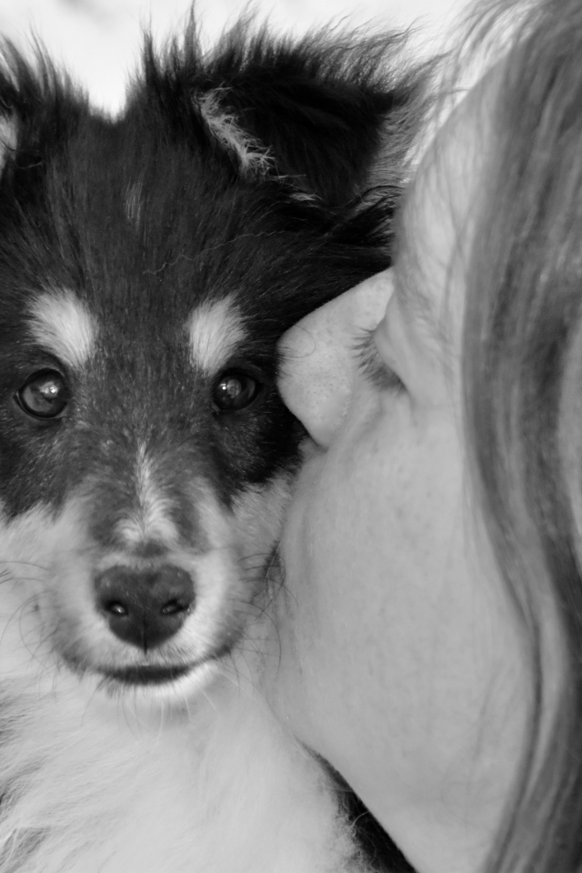 Девушка целует милого щенка 