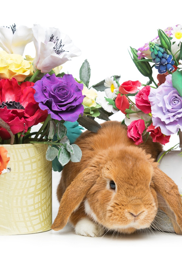Декоративный рыжий кролик с цветами на белом фоне