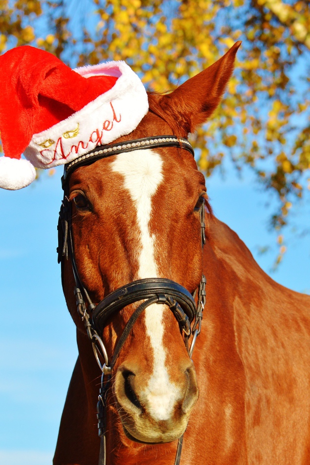 Большой коричневый конь в красной шапке 