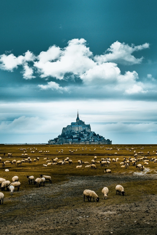 Стадо овец пасется у старого монастыря