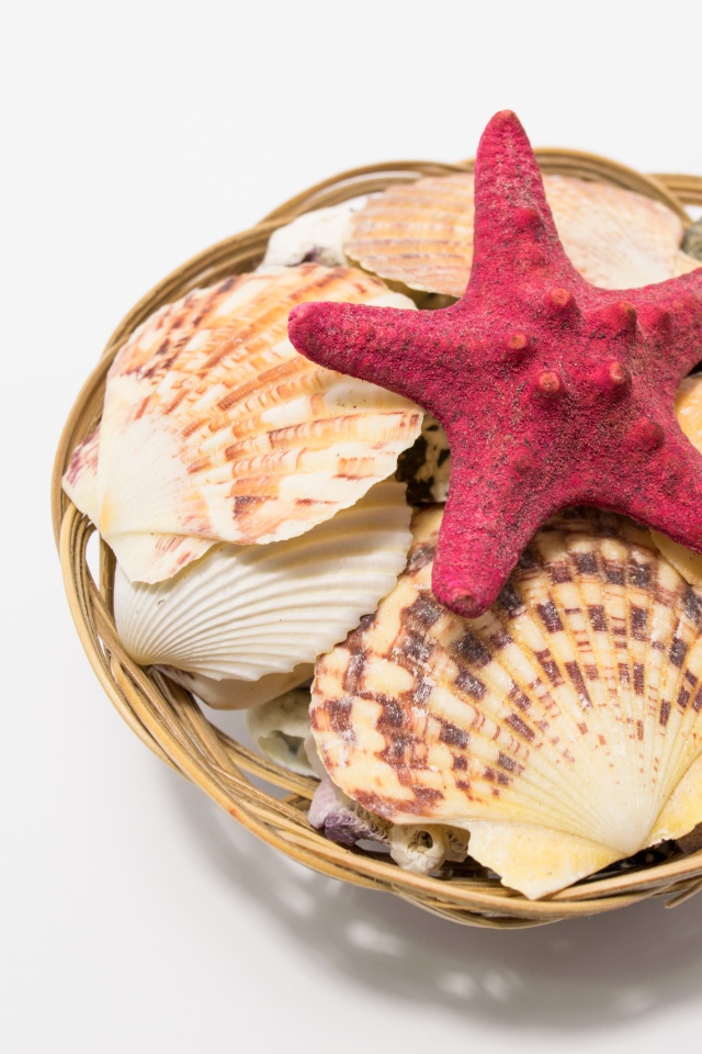 Красная морская звезда и ракушки в корзине на столе 