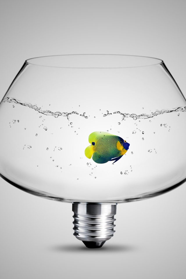 Рыбка в аквариуме лампе на сером фоне