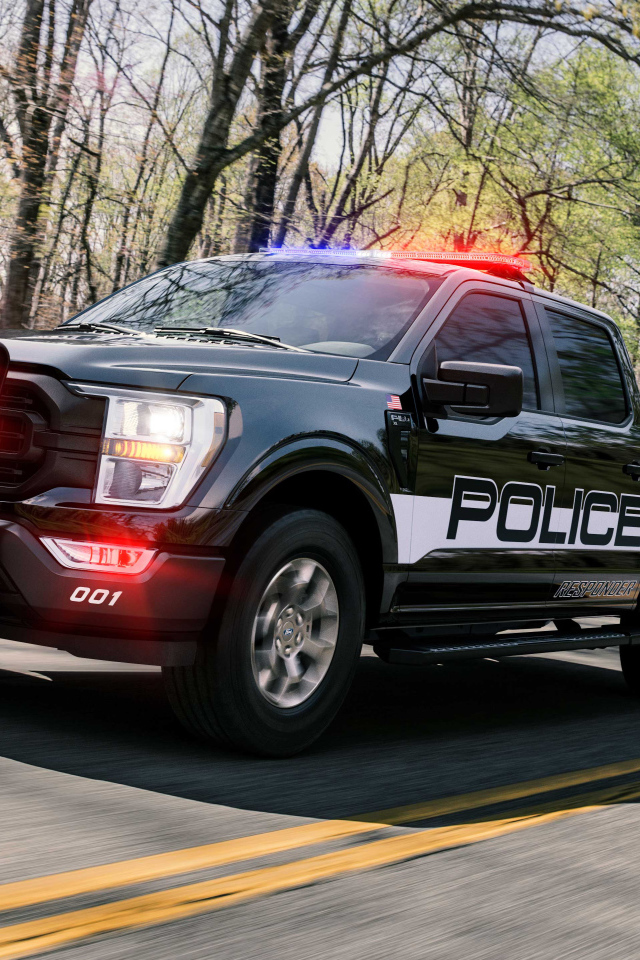 Служебный пикап Ford F-150 , 2021 года на дороге