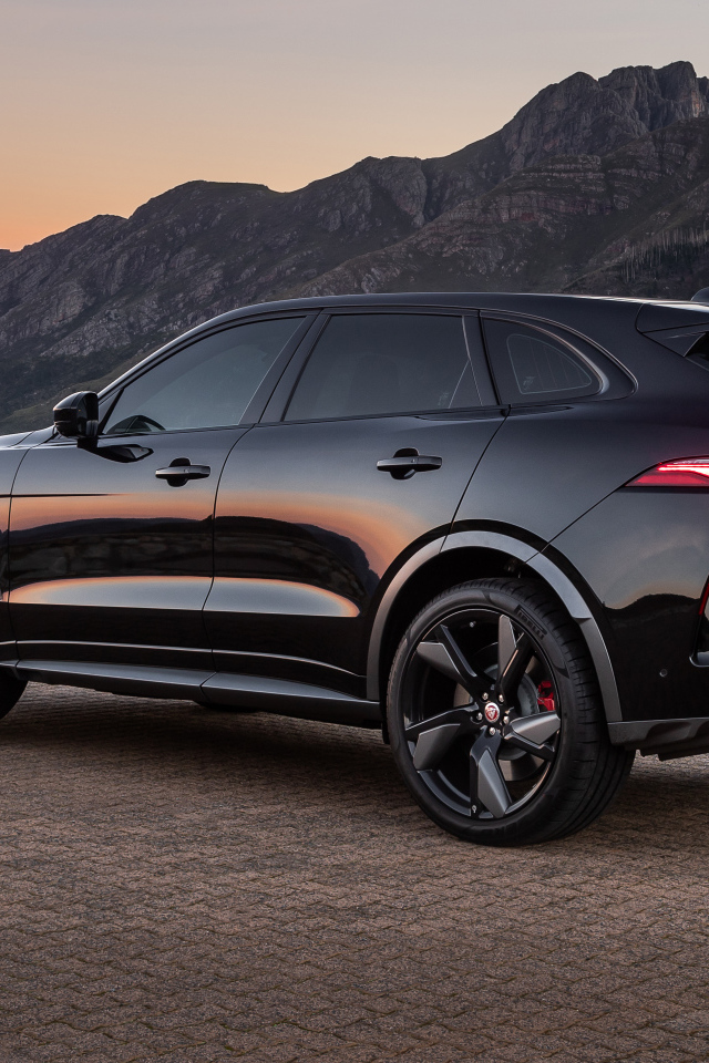 Внедорожник Jaguar F-Pace SVR 2021 года вид сзади