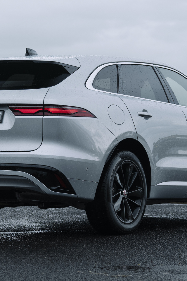 Автомобиль Jaguar F-Pace P250 R-Dynamic, 2021 года вид сзади