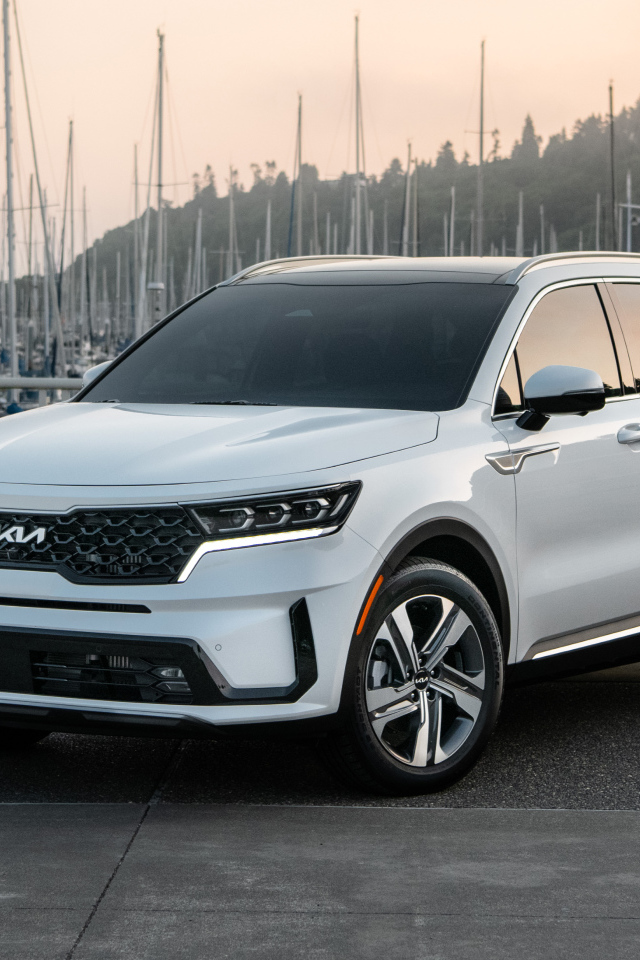 Автомобиль Kia Sorento PHEV, 2022 года в порту