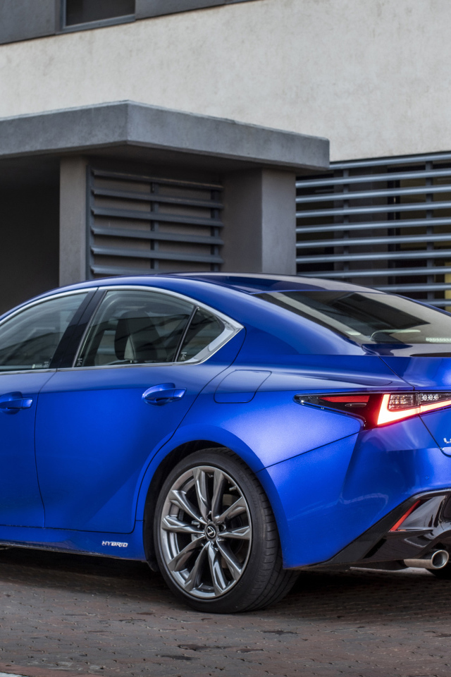 Синий автомобиль Lexus IS 300h F SPORT, 2022 года вид сзади