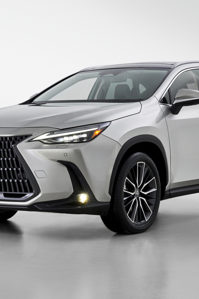 Серебристый автомобиль Lexus NX 350, 2022 года на белом фоне