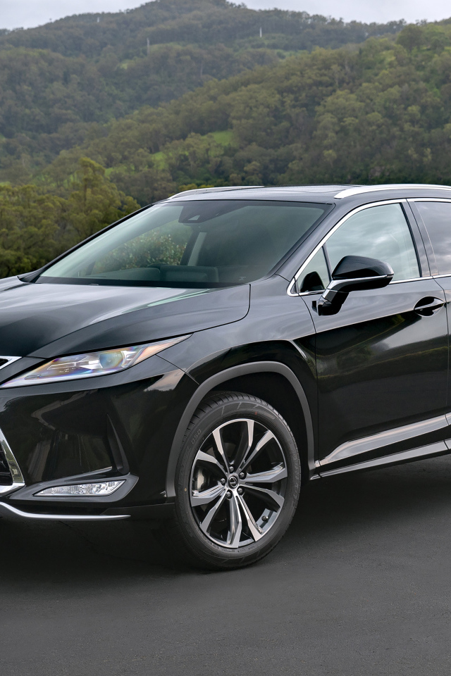Стильный черный автомобиль Lexus RX 300 Crafted Edition 2021 года