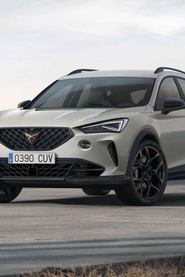 Внедорожник cupra formentor vz5,  2021 года