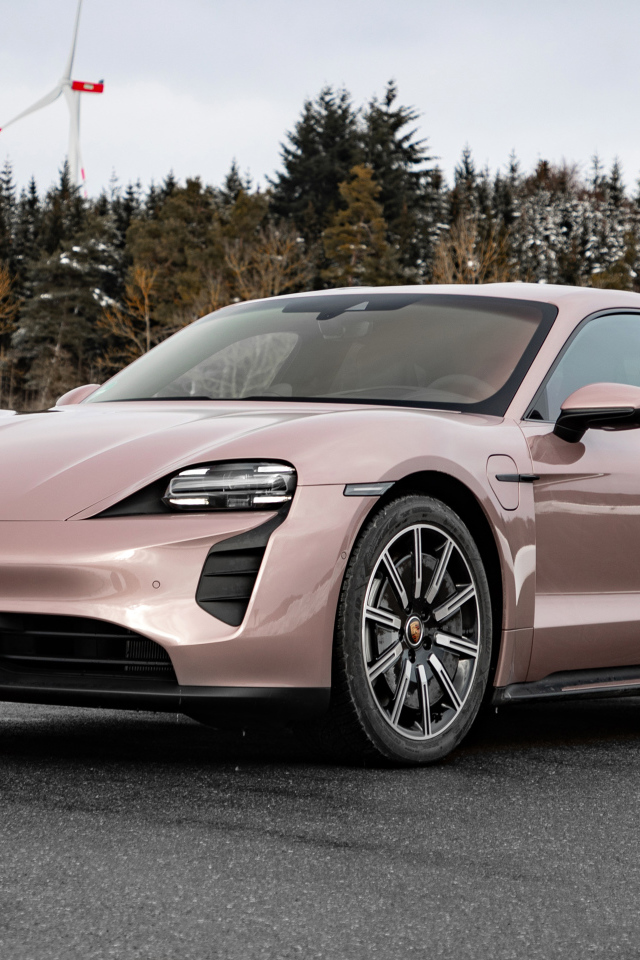 Автомобиль  Porsche Taycan 2021 года на фоне леса