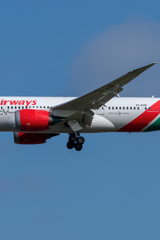 Пассажирский Boeing 787-8 авиакомпании  Kenya Airways в небе