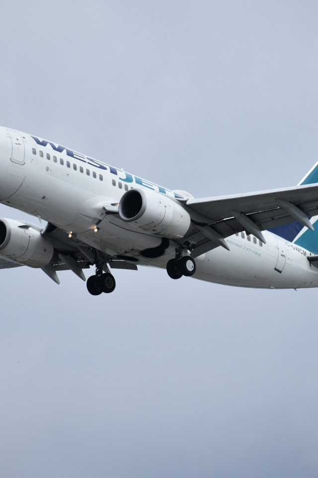Пассажирский Boeing 737 авиакомпании  WestJet в небе 