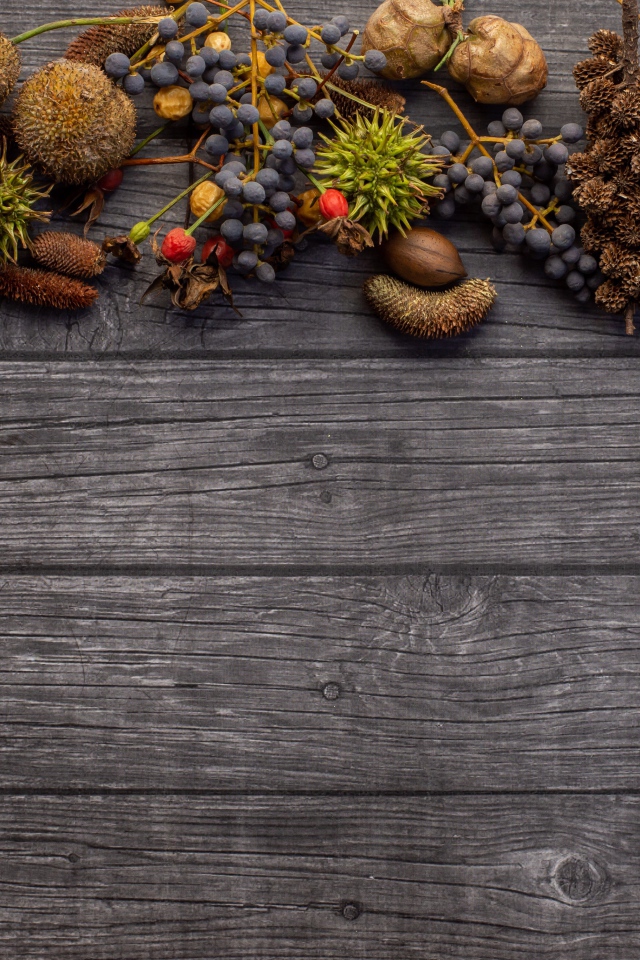 Ягоды с шишками на деревянном фоне 