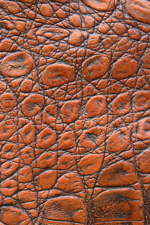 Коричневая кожа крокодила крупным планом, фон