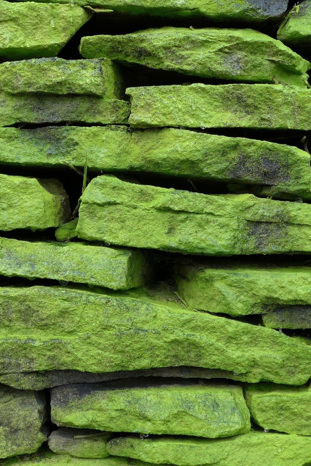 Зеленые покрытые мхом камни на стене, фон 