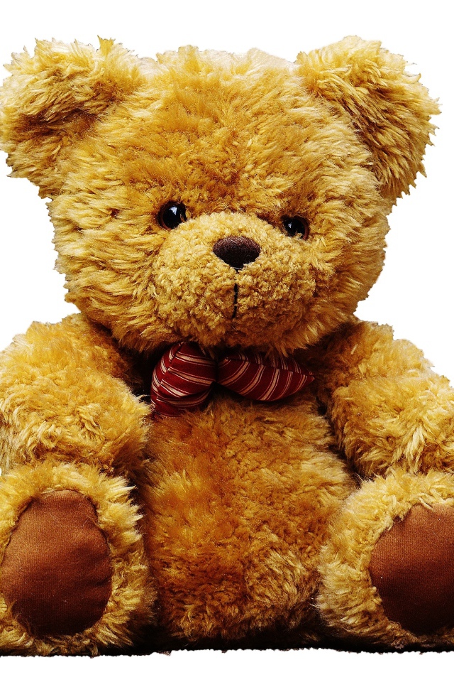 Большой плюшевый медведь на белом фоне