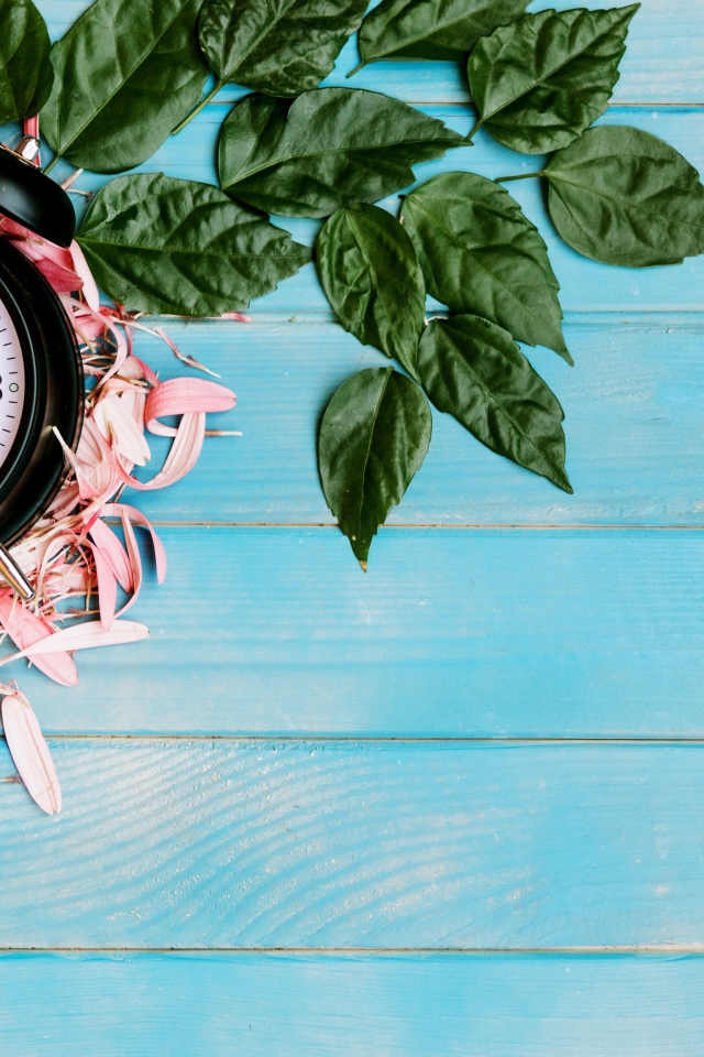 Черный будильник с лепестками цветов и зелеными листьями