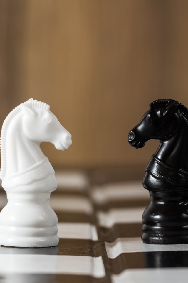 Черный и белый шахматный конь